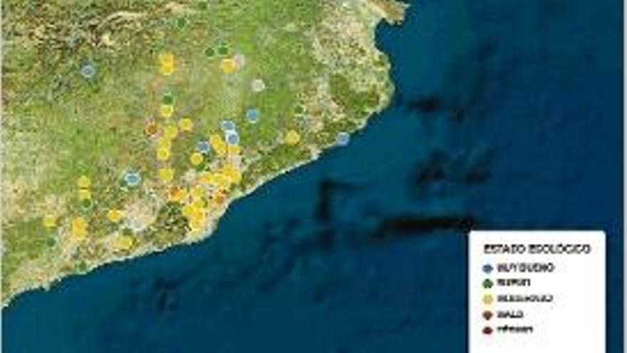 Mapa de dades dels rius catalans analitzats.