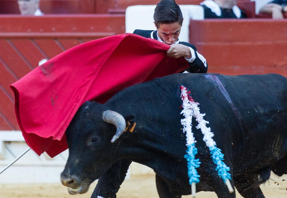 Fervor por los nuevos valores en la becerrada de la feria de San Juan