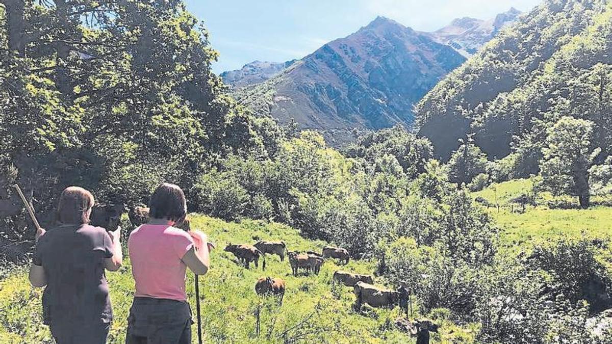 Mujeres ganaderas en Asturias.