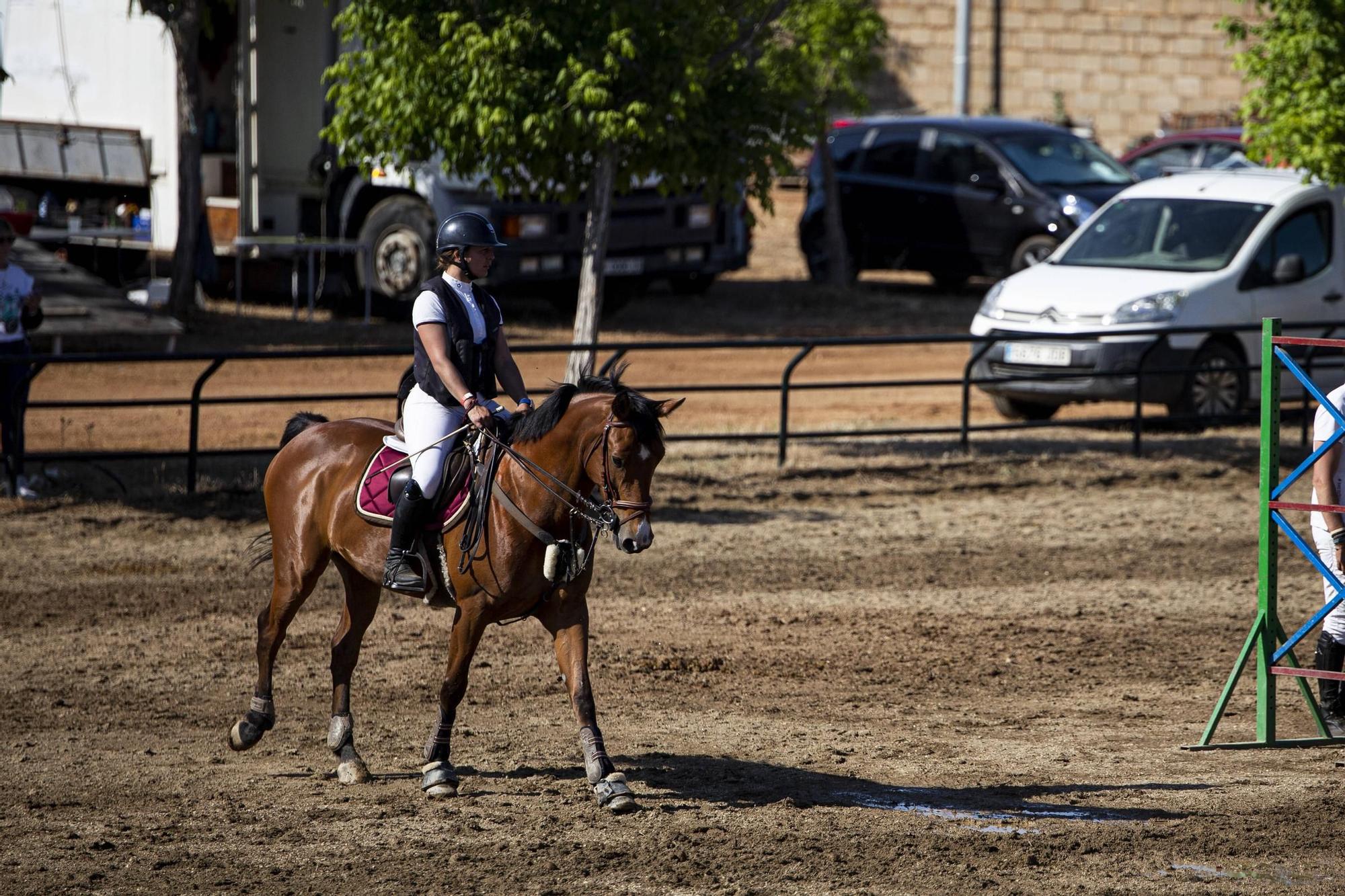 Participantes en la primera jornada del concurso nacional de saltos