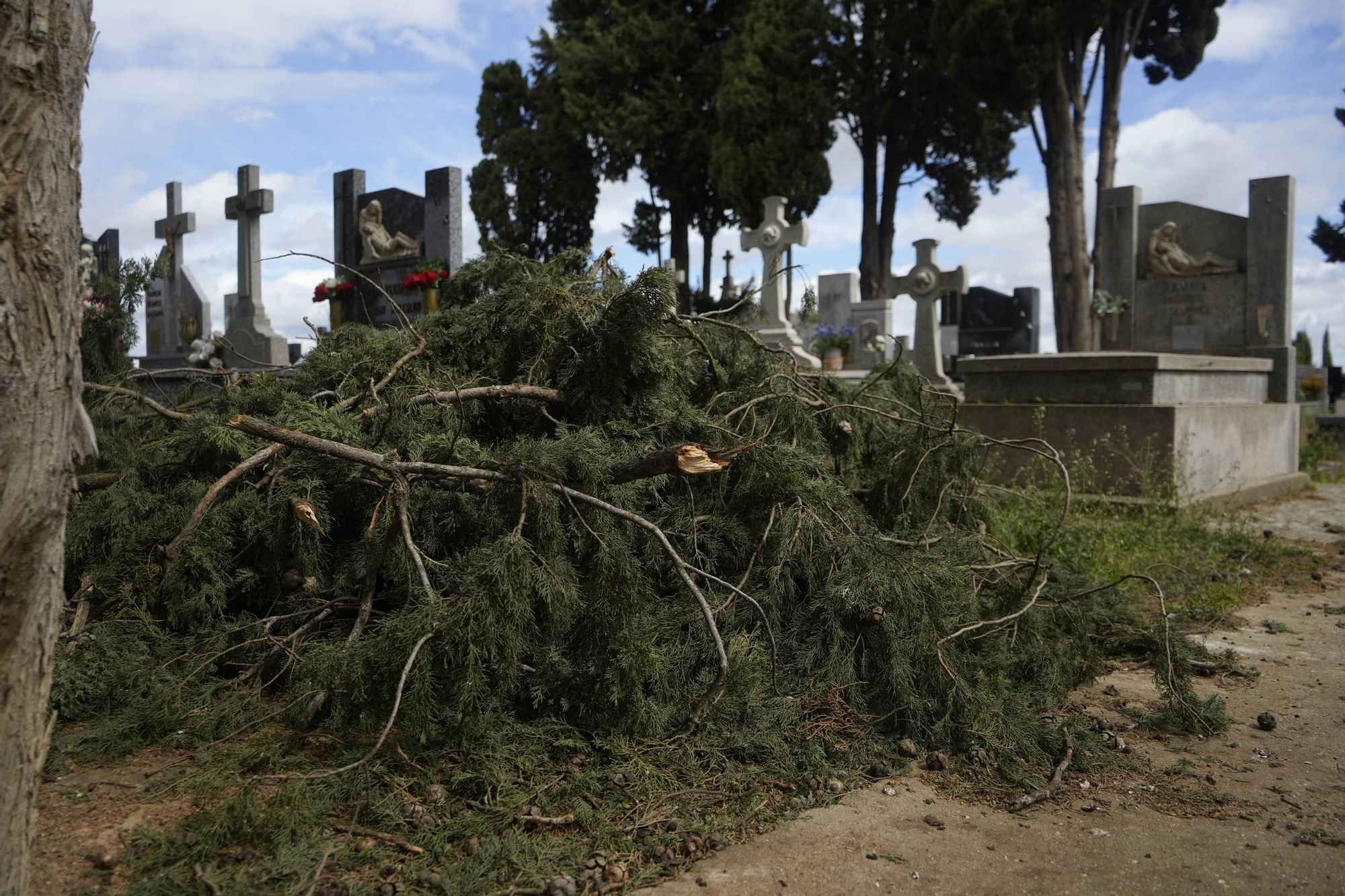 Los importantes daños del temporal en el Cementerio de Zamora