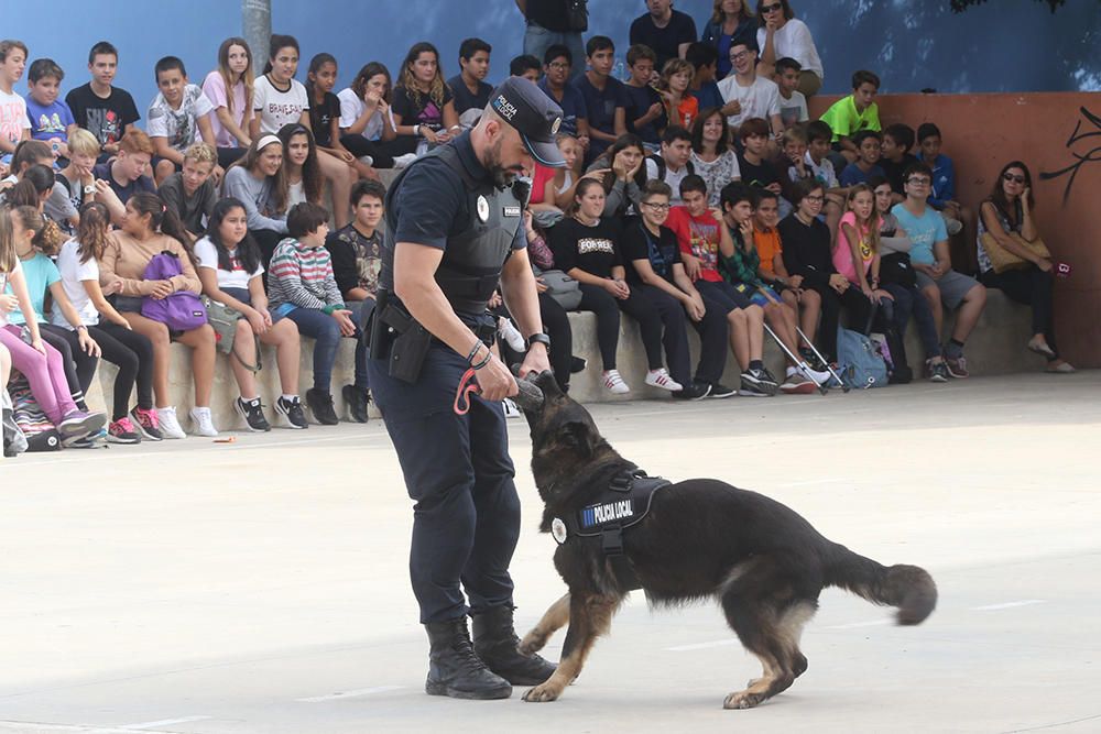 Agentes de Sant Antoni muestran a los alumnos las habilidades de la perra para detectar droga.