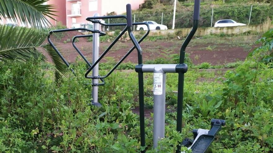 Hierbas en el parque de Hoya Machado, antes de la última limpieza.