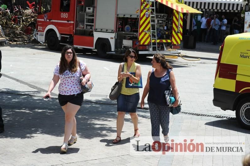 Cae parte del ficus de Santo Domingo en Murcia