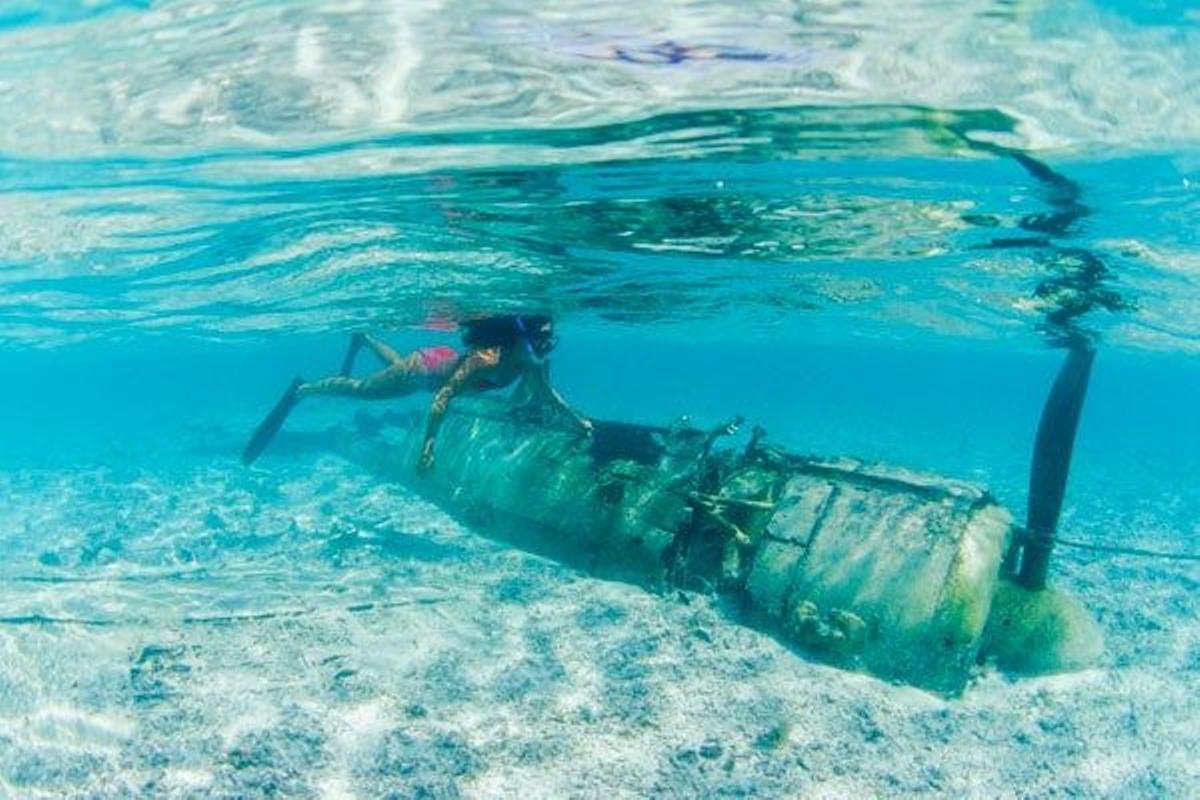 Restos de un avión de caza A6M empleado por el Servicio Aéreo de la Armada Imperial Japonesa en la isla Koror, en Palaos.