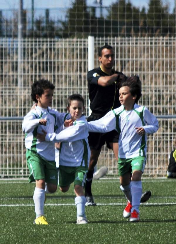 FÚTBOL: Utebo - Olivar (Benjamín)