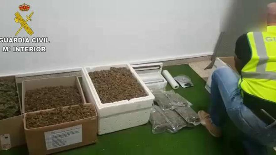 A prisión un alemán por enviar paquetes  de marihuana desde Llucmajor a su país