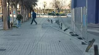 Directo: El fuerte viento corta la A-33 y suspende la Línea 2 de Metrovalencia por la caída de un árbol