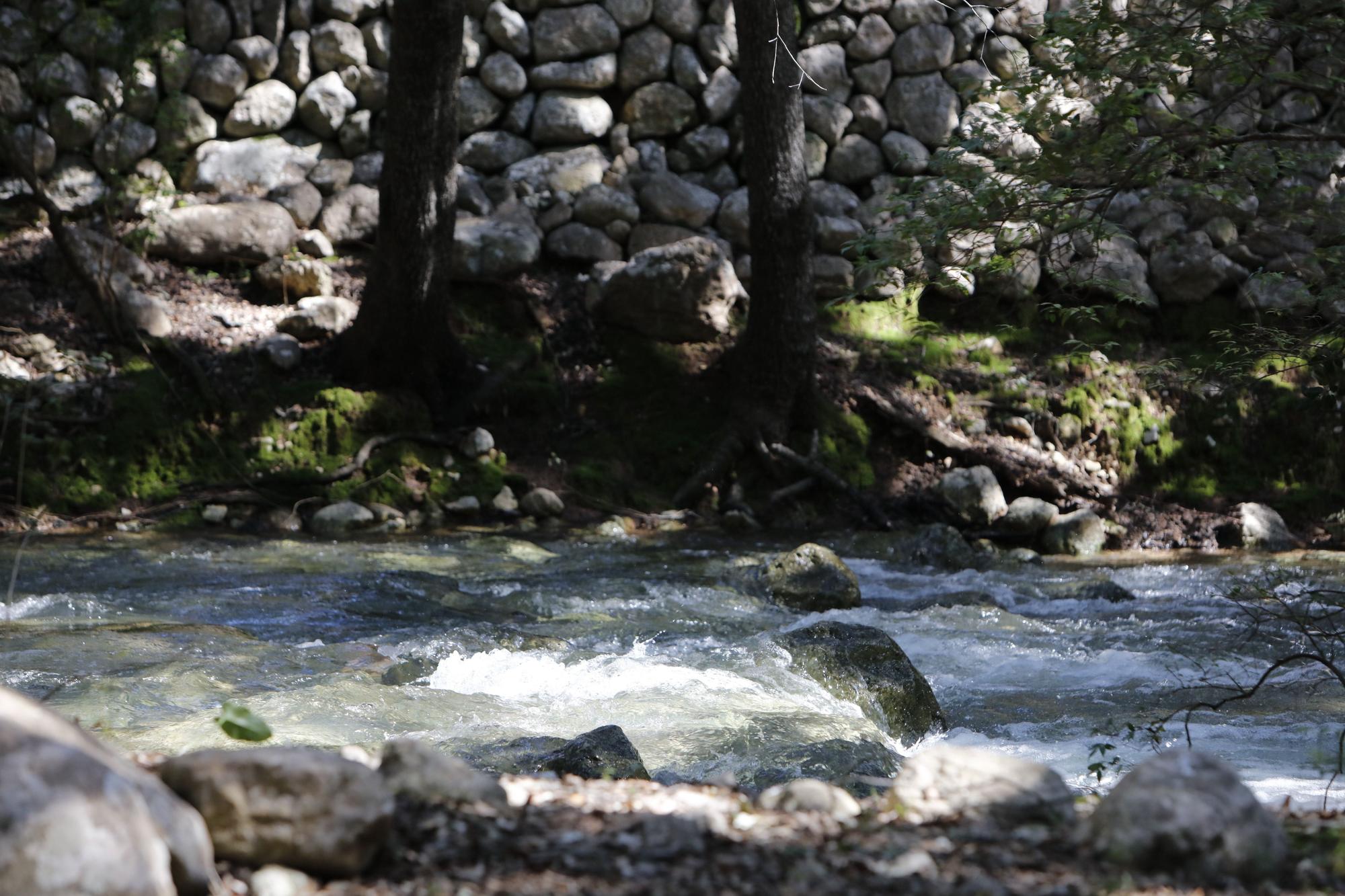 Die Quellen sprudeln wieder: Impressionen einer Wanderung zu Ses Fonts Ufanes auf Mallorca