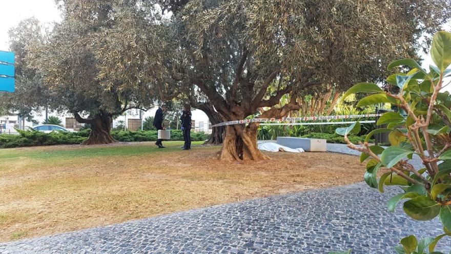 El lugar donde se halló esta mañana el cadáver