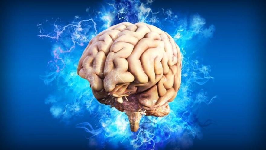 Cargan la primera experiencia sintética en un cerebro humano