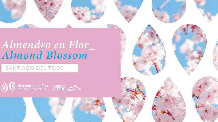 22 restaurants and shops participate in the Almond Blossom Gastronomic Route 2022