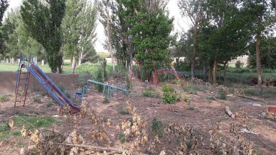 Árboles caídos y maleza en el parque infantil.