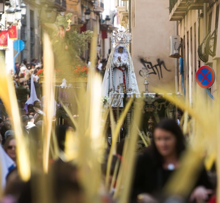 Domingo de Ramos en Alicante