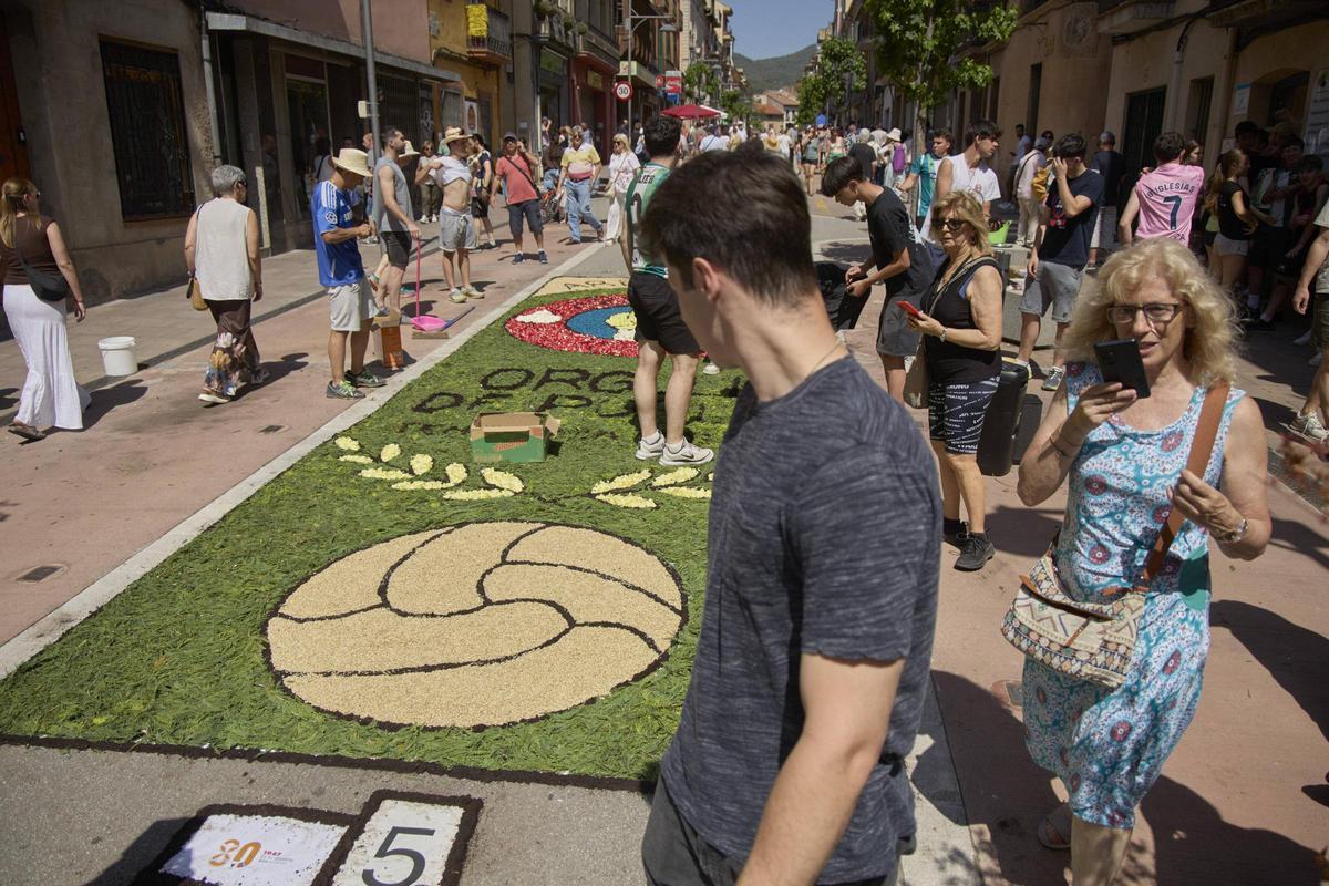 Les catifes d'Arbúcies en imatges