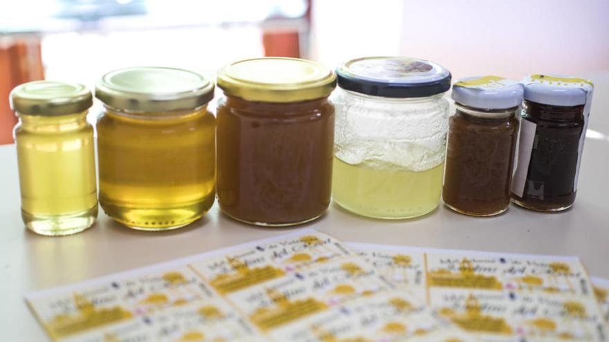 Diferentes tipos de miel pasan un control en un laboratorio valenciano.