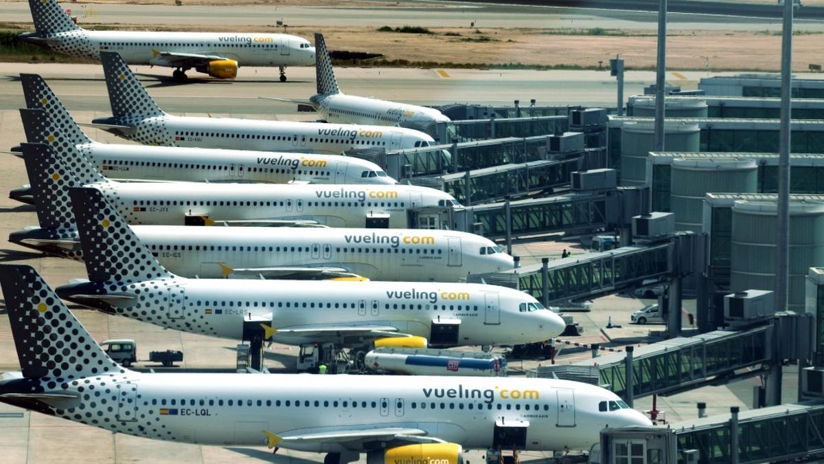 Flota de aviones