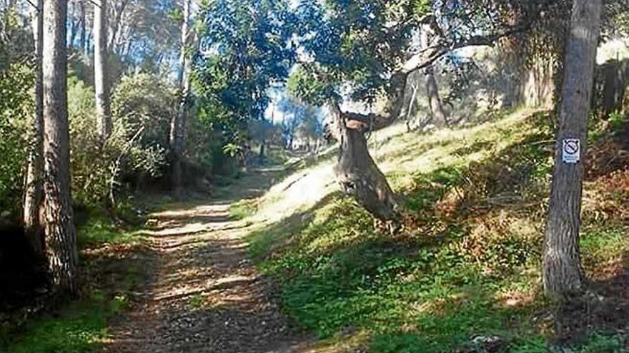 Camino del Molí des Castellet .