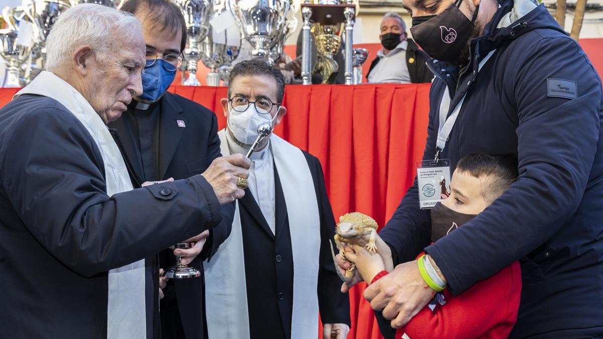 El cardenal Cañizares bendice un lagarto.