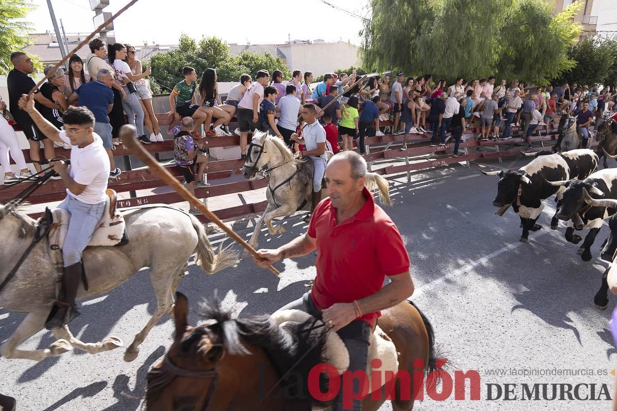 Primer encierro de las Fiestas de Moratalla