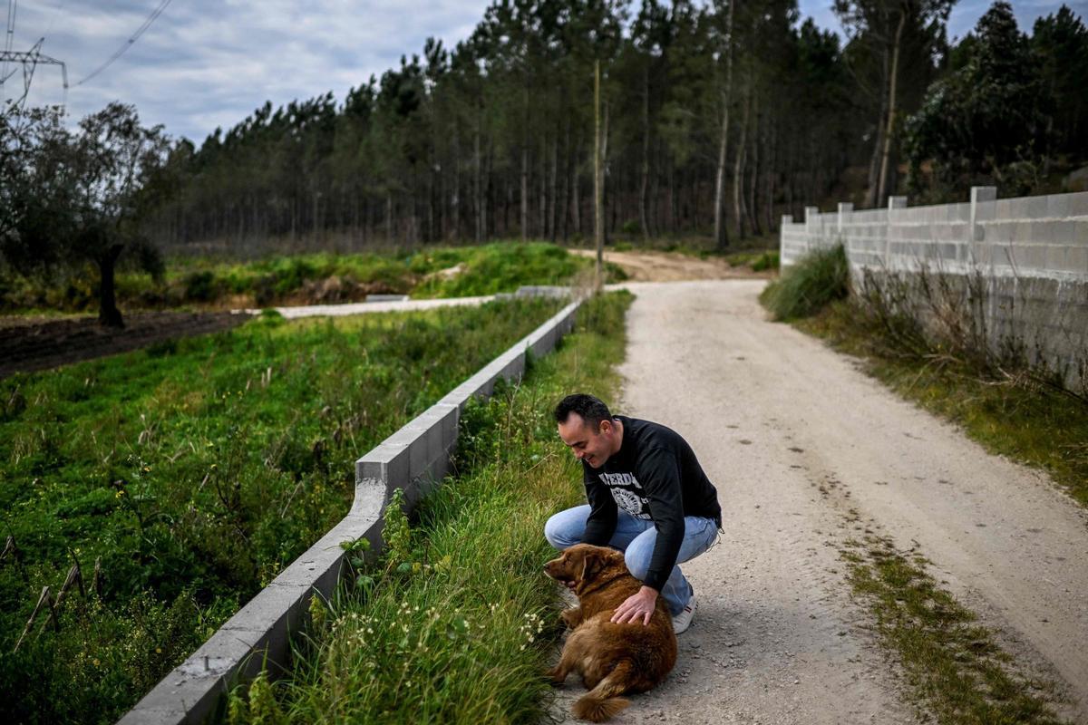 Bobi de 30 años, el perro más viejo del mundo según el Guinness World Records en Conqueiros, Portugal.