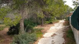 Sagunt da otro paso en la prevención de incendios forestales