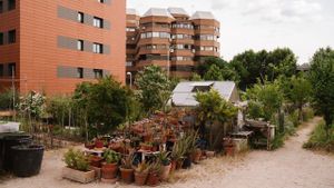 Huerto urbano comunitario en Chamartín gestionado impulsado por Naturbana.