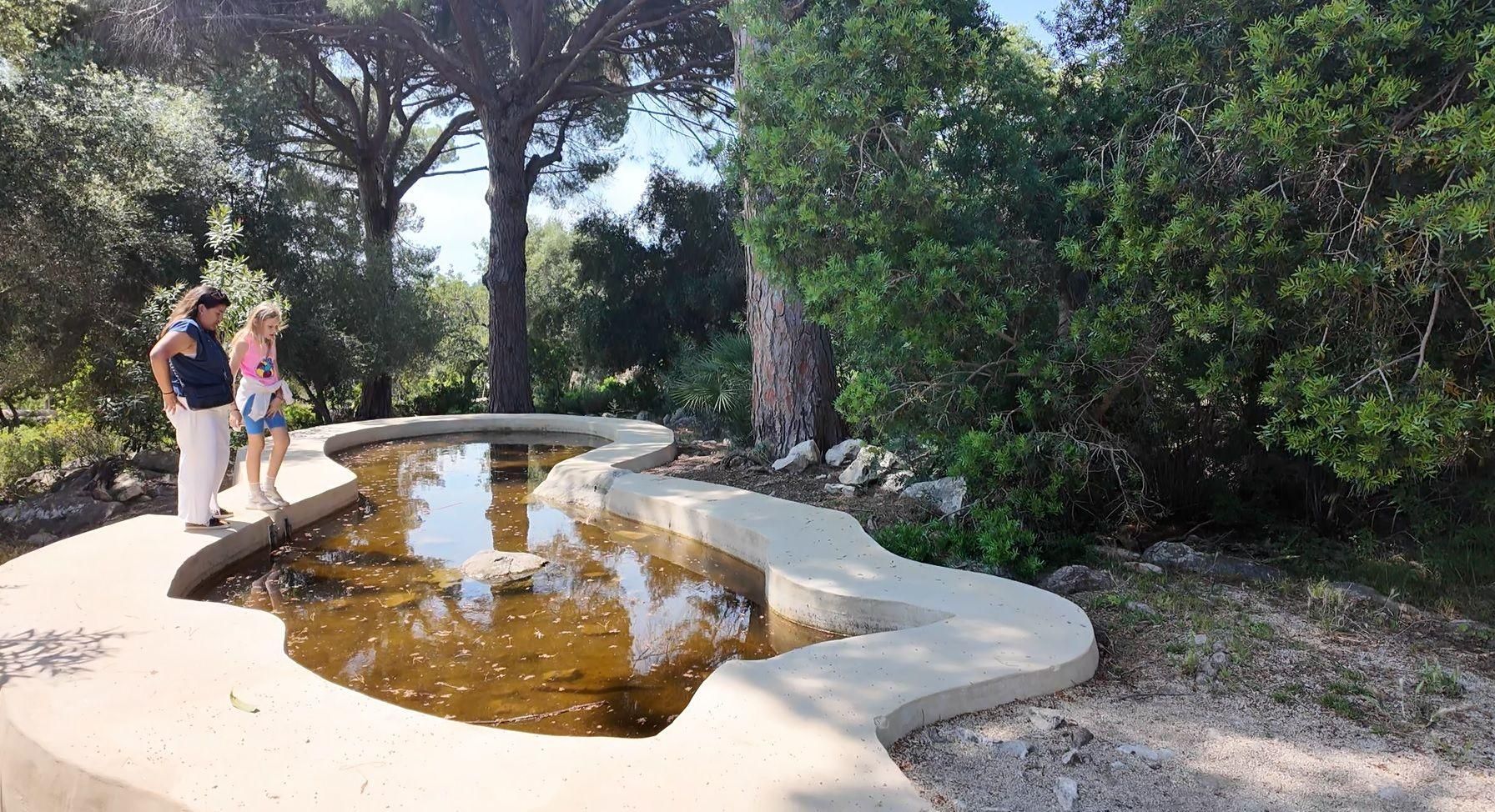 Las imágenes del Pancaritat en familia en la finca de Galatzó