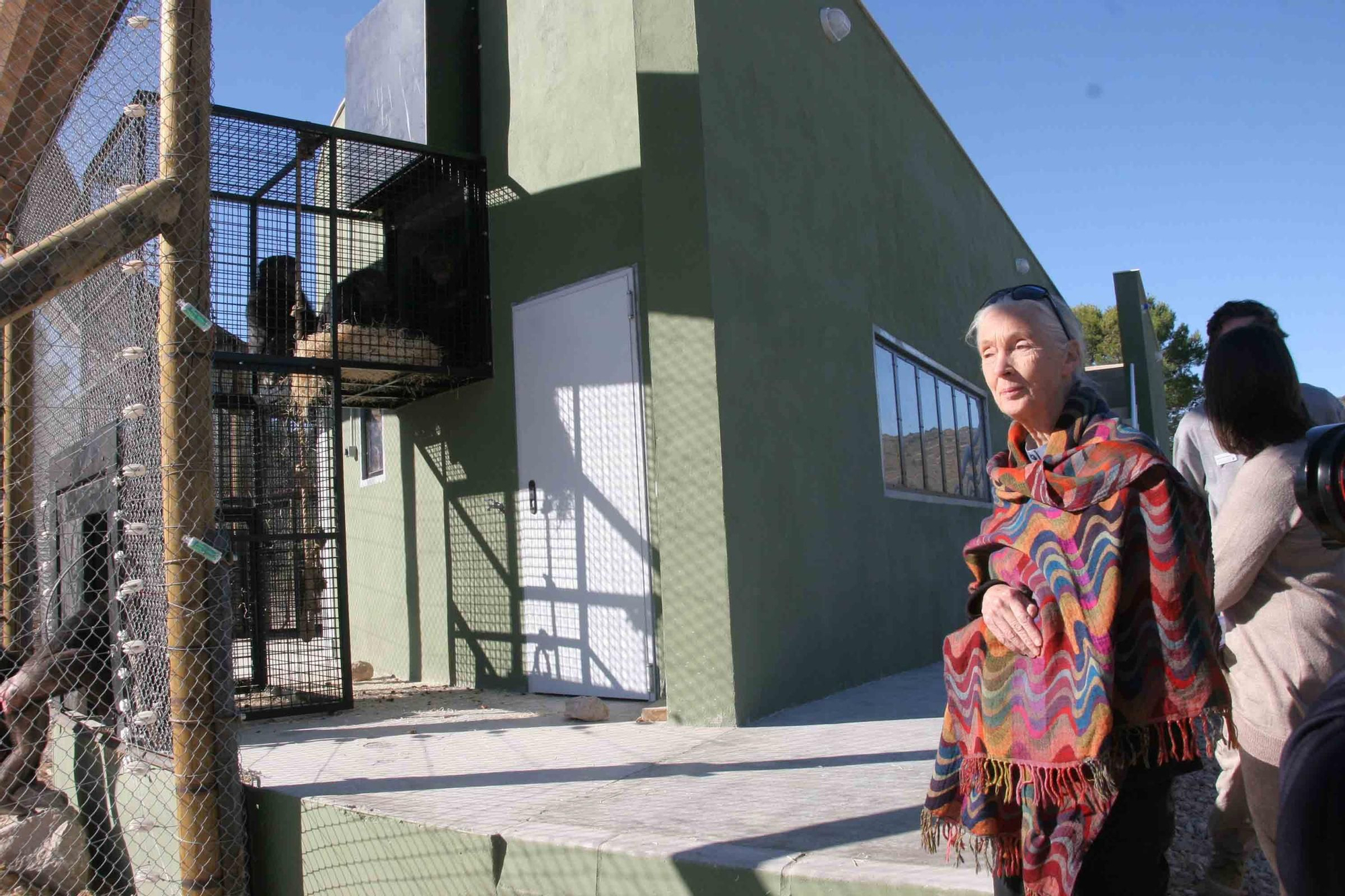 Fallece Jane Goodall, madrina de Primadomus y ‘honoris causa’ por la Universidad de Alicante