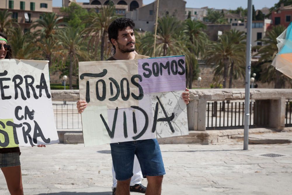 Corte de carretera en Palma contra el cambio climático