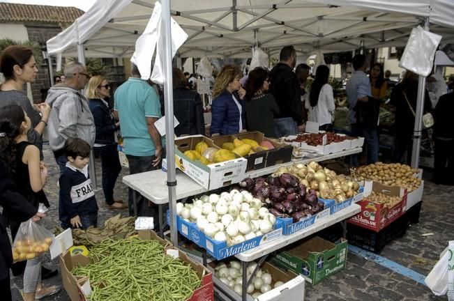 FIESTA DEL QUESO EN SANTA MARIA DE GUIA