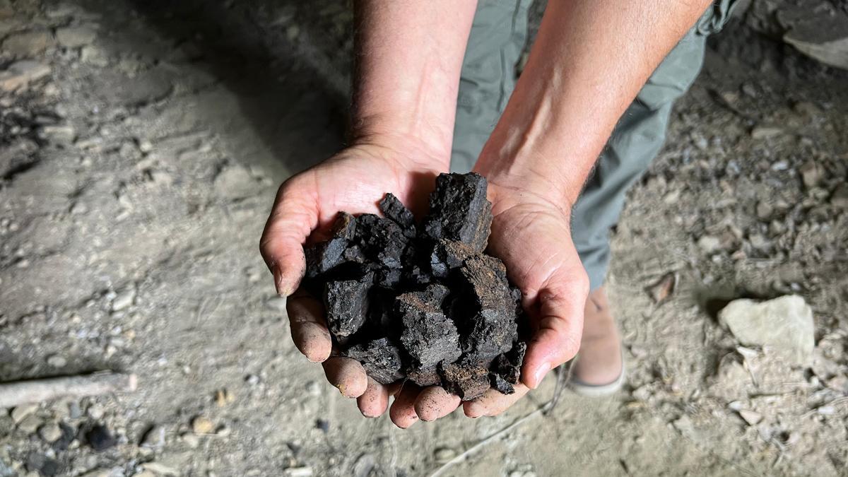 Detall de carbó que encara es pot extreure de les mines de l&#039;Alta Segarra