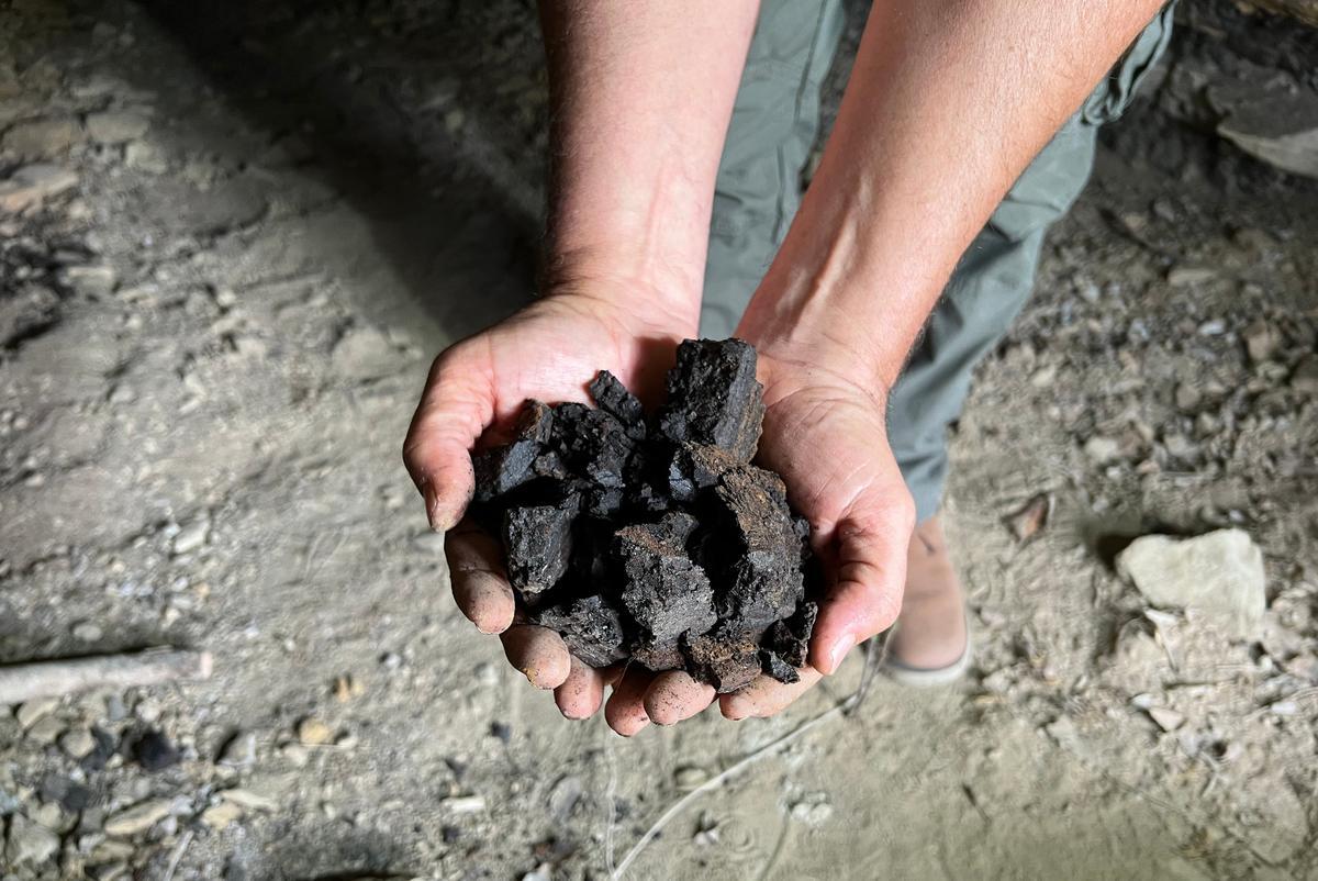 Detall de carbó que encara es pot extreure de les mines de l'Alta Segarra