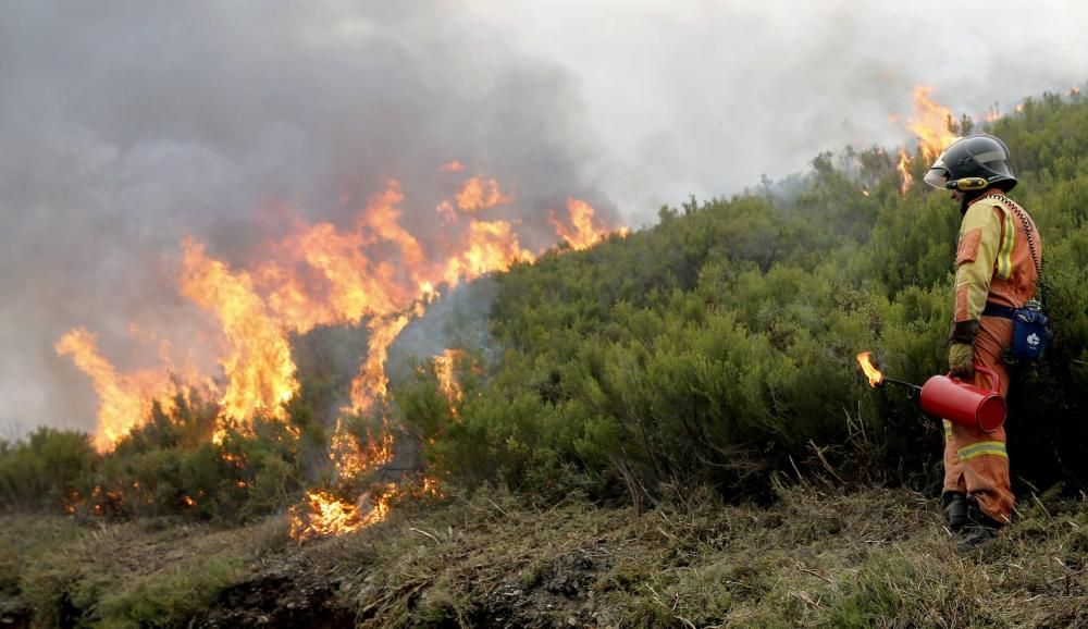 El fuego no da tregua en Degaña