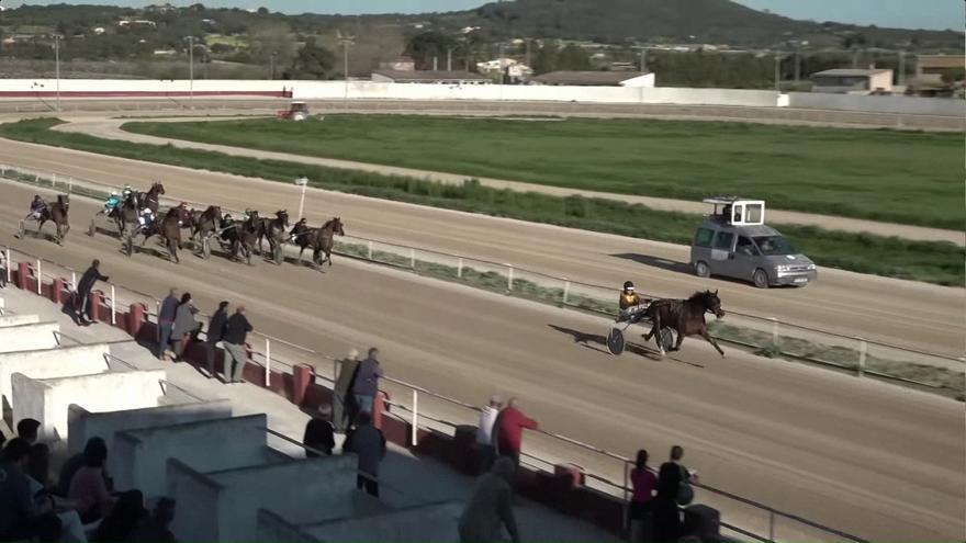 Chistou d’Iraty vuelve a triunfar en el Municipal de Manacor