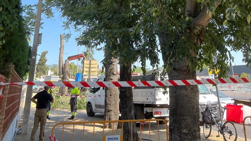 Hacemos Córdoba critica la &quot;inacción del alcalde&quot; Bellido respecto al entoldado de parques infantiles