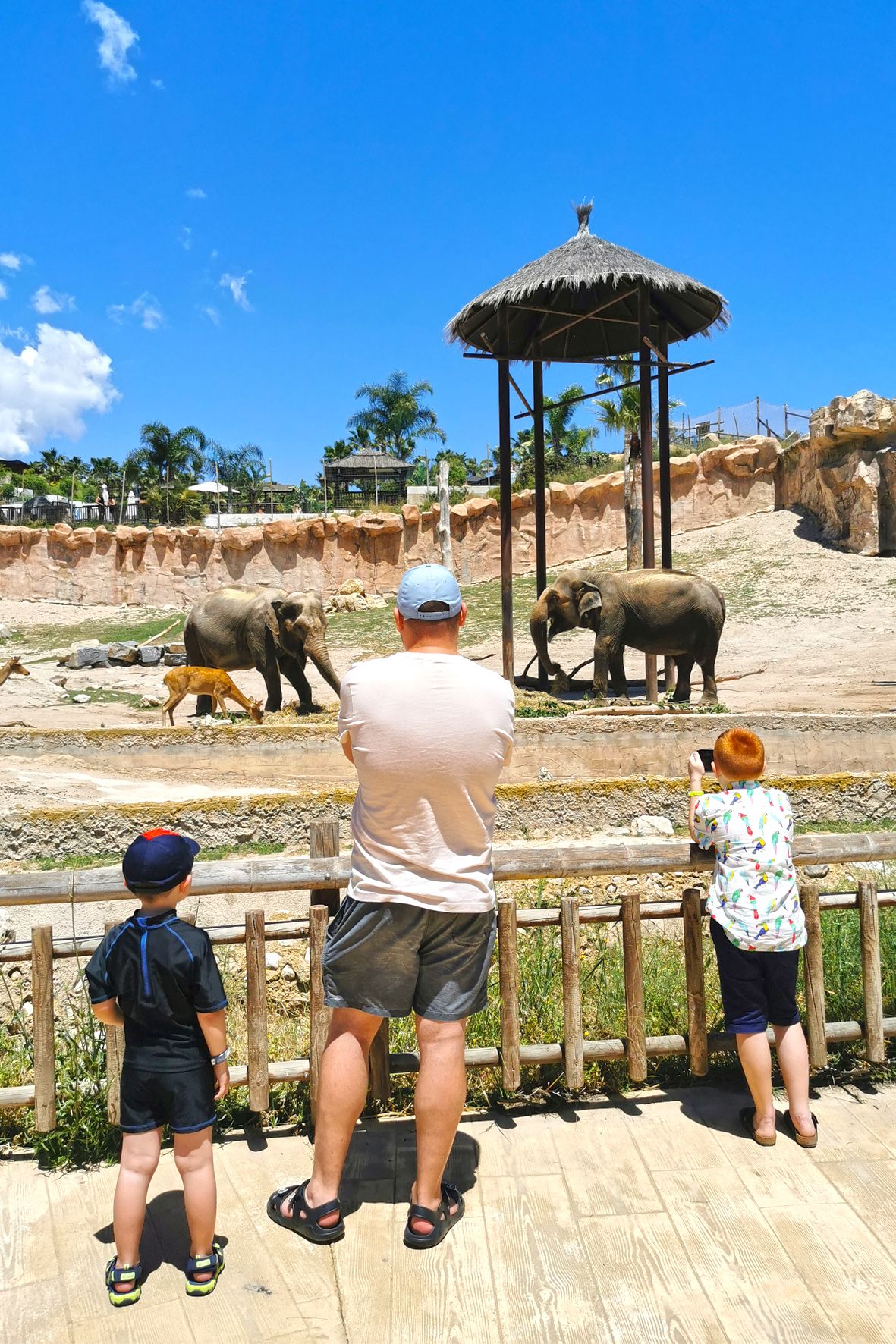 Foto familia admirando elefantes.jpg
