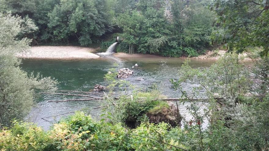 Avisan de vertidos al río Sella, a la altura de la EDAR de Ricao