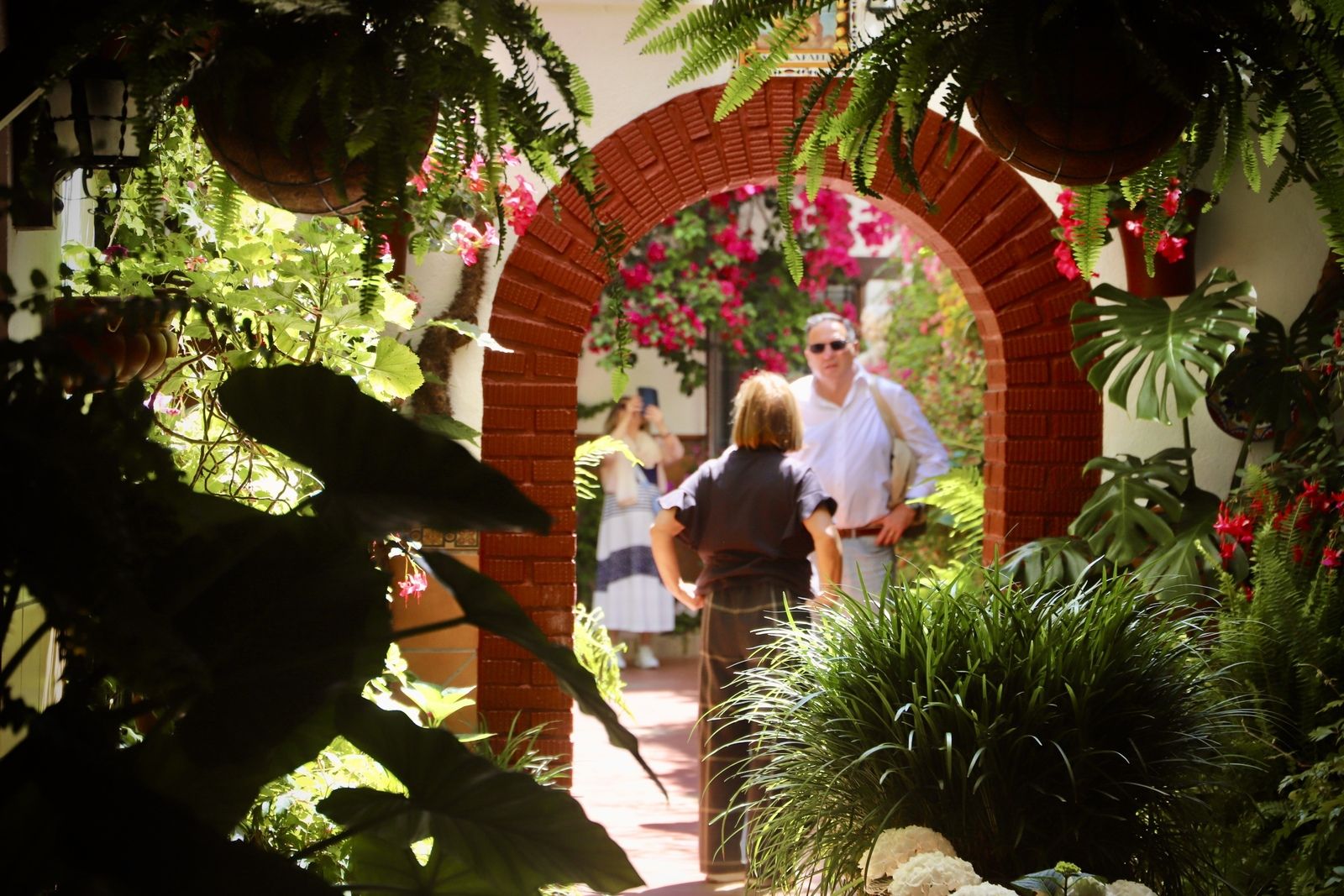 La Ruta 3 de los Patios de Córdoba, en imágenes