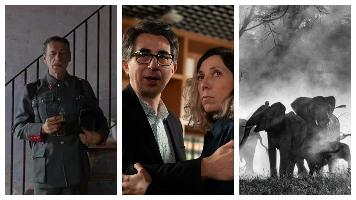'Els mals noms', 'Pizza movies' y 'Ghost elephants', tres fimes del D'A 2026.