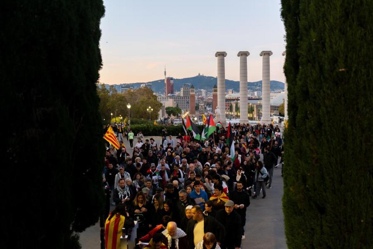 Partido entre Catalunya-Palestina en el Estadi Olímpic de Lluís Companys