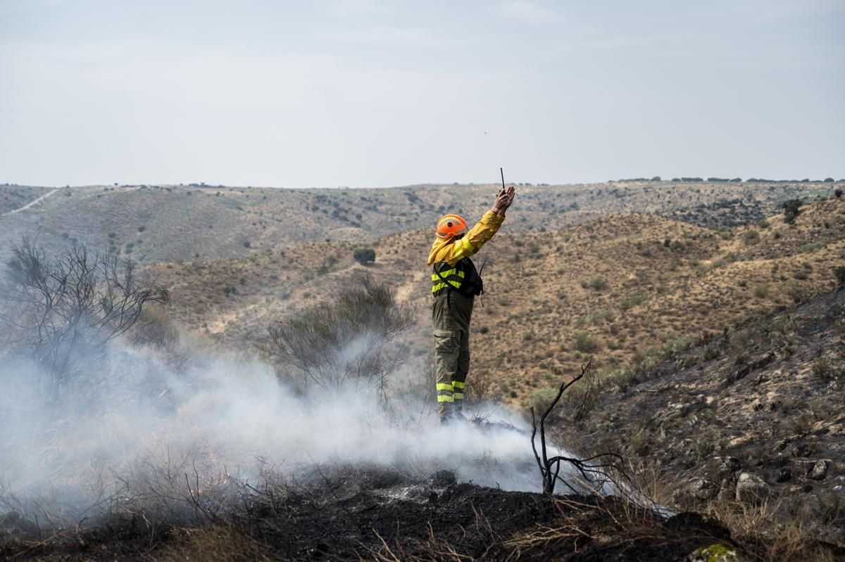 Fotogalería | Así ha sido el incendio forestal en Garrovillas de Alconetar