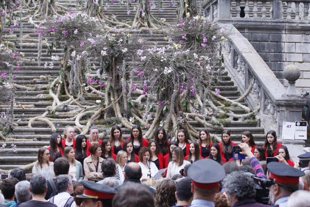 Girona, Temps de Flors 2019