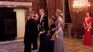 La dura enfermedad que padece la reina Letizia: obligada a permanecer sentada en un besamanos en Holanda