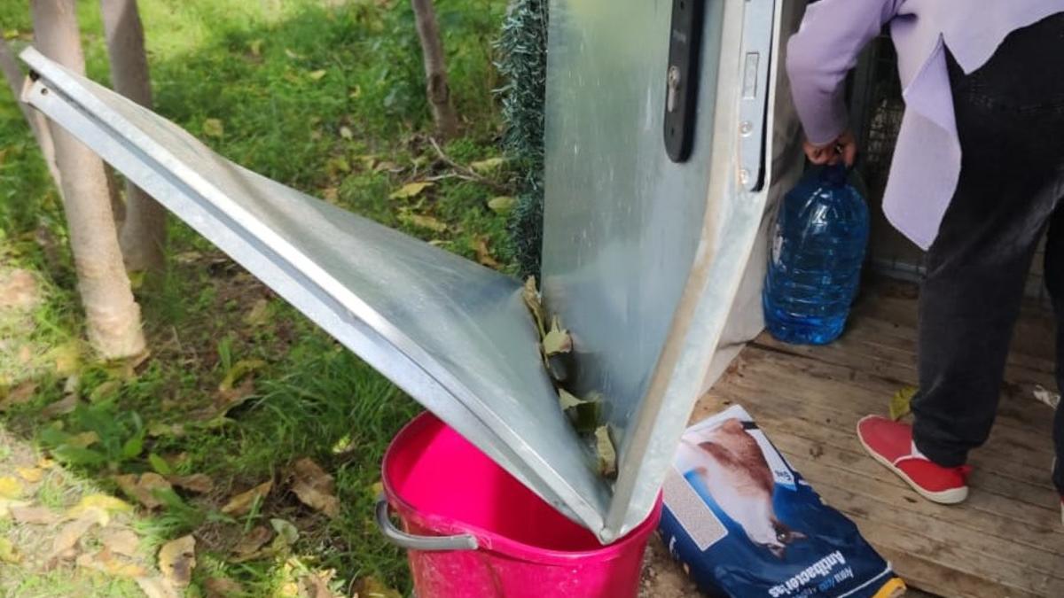 Ataque a un refugio donde la asociación de colonias felinas tenía el material para los gatos.