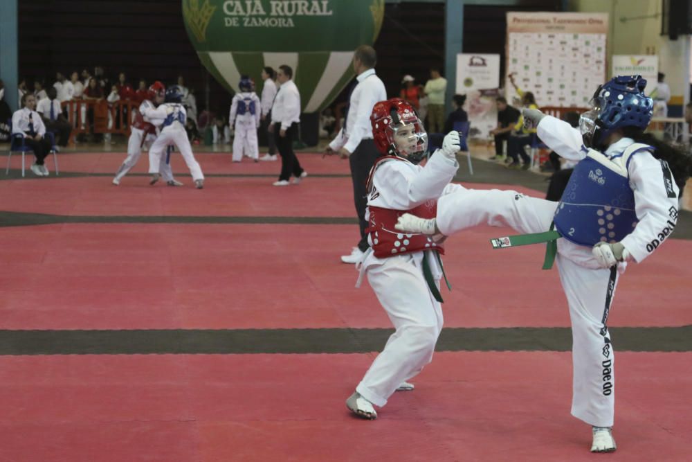 Professional Taekwondo Open