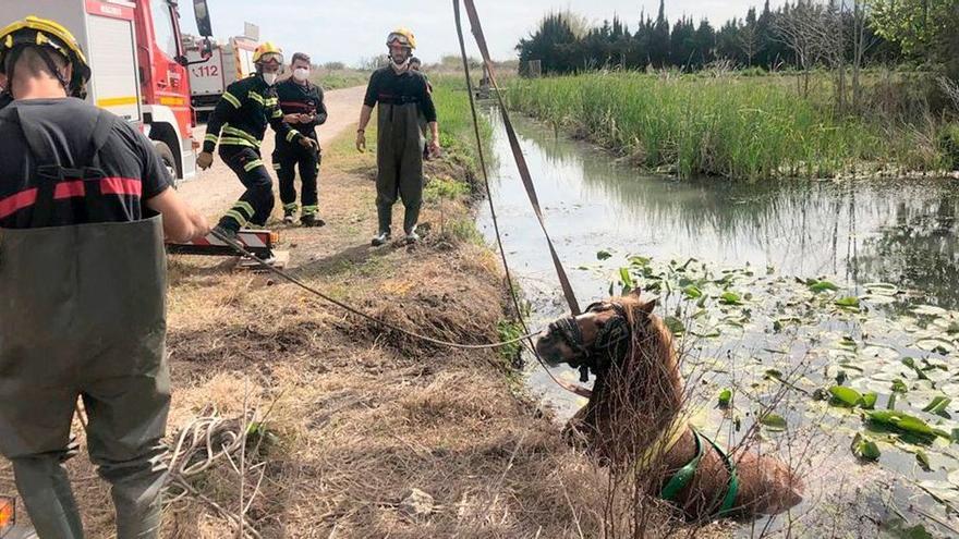 Salvan la vida en Pego a un anciano que había sufrido un