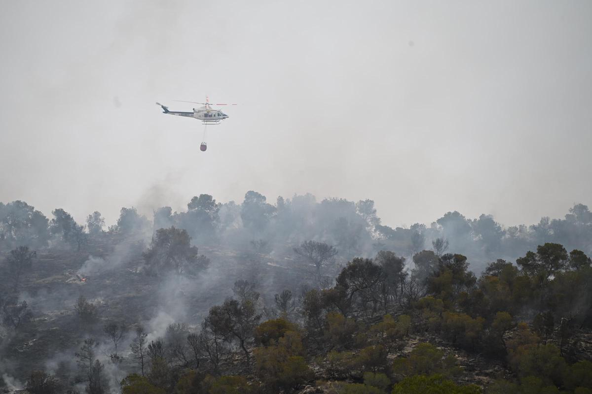 Fuego en Algueña: así está siendo el operativo para la extinción