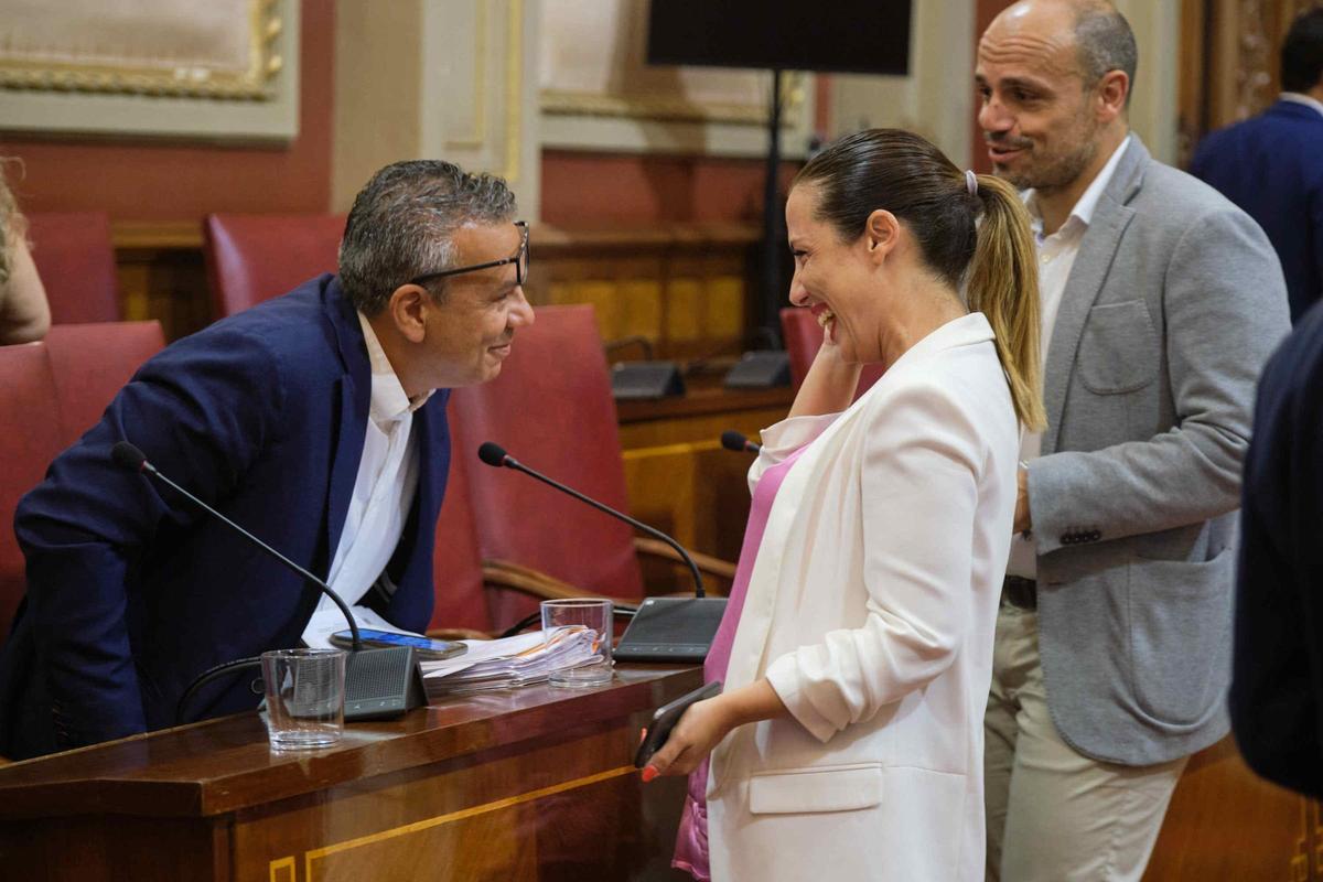 Pleno extraordinario de Santa Cruz