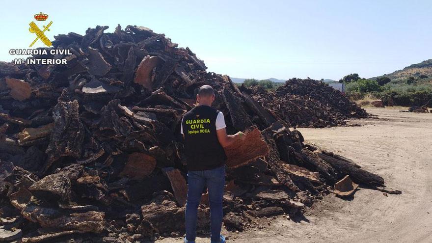 Detenido el presunto autor de hurtos continuados de corcho en fincas de Arroyomolinos